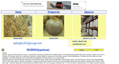 Desktop Screenshot of ccbol.com